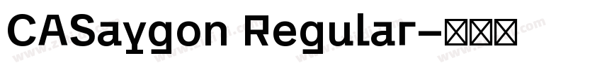 CASaygon Regular字体转换